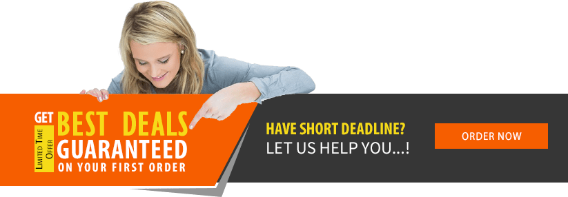 best essay writing service uk